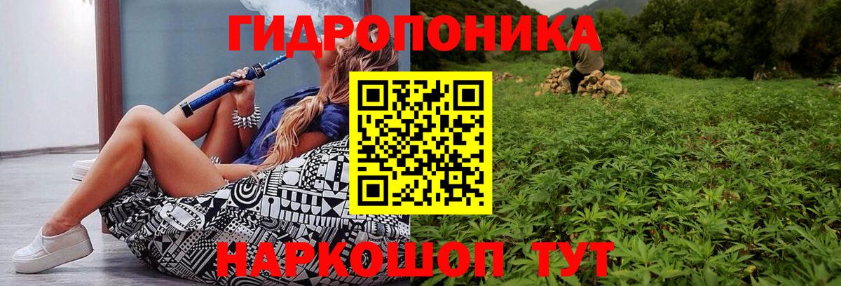 Шишки марихуана семена Вязьма